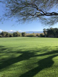 Scenic golf course view under a sprawling tree with mountains in the background, evoking the serene spirit of the "Legend of Bagger Vance".